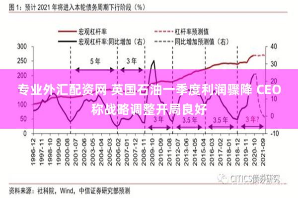 专业外汇配资网 英国石油一季度利润骤降 CEO称战略调整开局良好