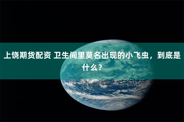 上饶期货配资 卫生间里莫名出现的小飞虫，到底是什么？