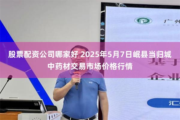 股票配资公司哪家好 2025年5月7日岷县当归城中药材交易市场价格行情
