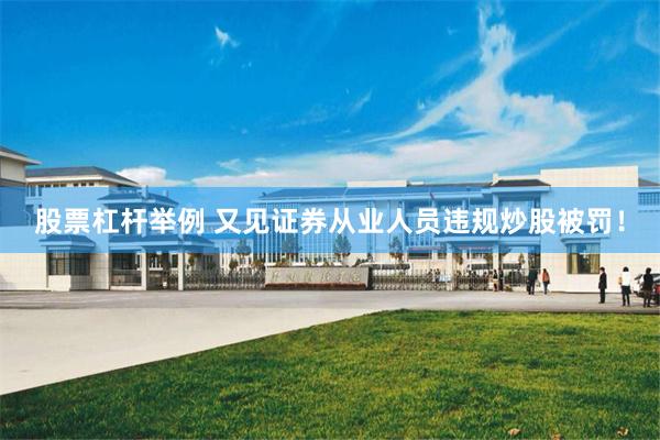 股票杠杆举例 又见证券从业人员违规炒股被罚！