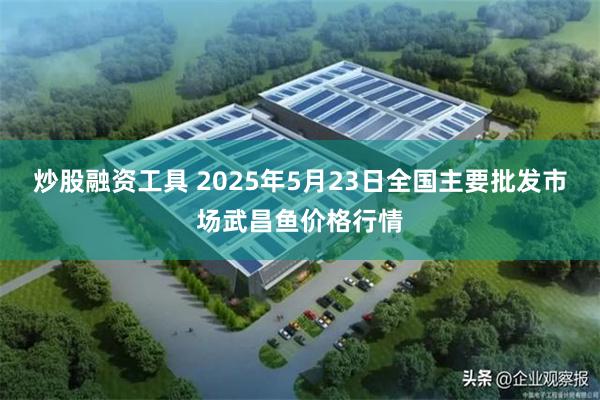 炒股融资工具 2025年5月23日全国主要批发市场武昌鱼价格行情